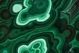 Flowery Polished Malachite Slab - DR Congo #360768-1